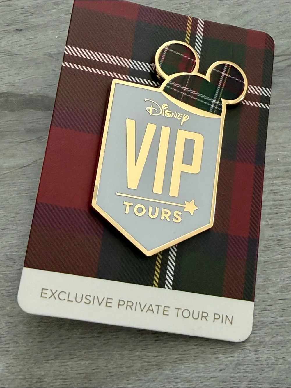 2026 Disney World VIP Tours Exclusive Private Tour Plaid Mickey Hat Pin